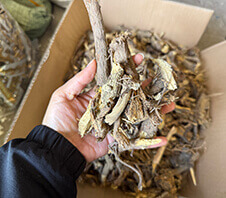 甘草粉碎機多少錢一臺