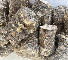 菌棒粉碎機多少錢(qián)一臺