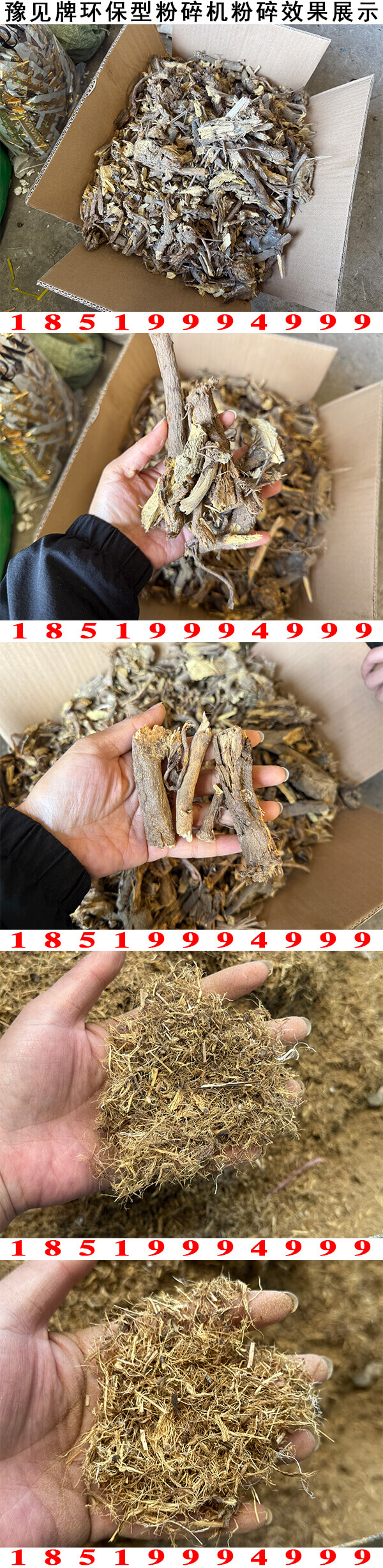 豫見牌環保型甘草粉碎機粉碎效果展示