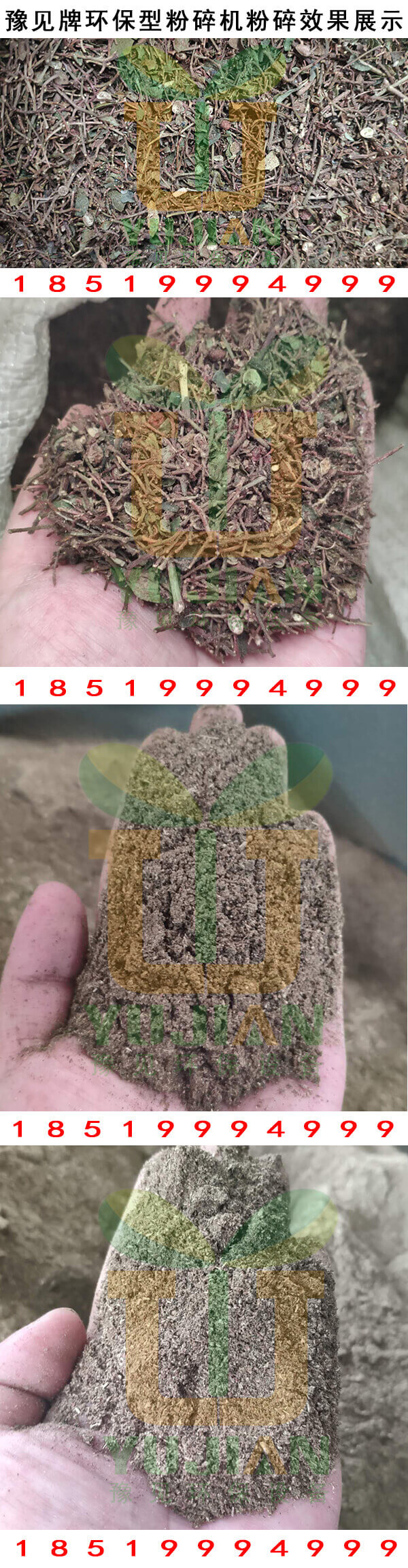 花椒桿粉碎效果展示