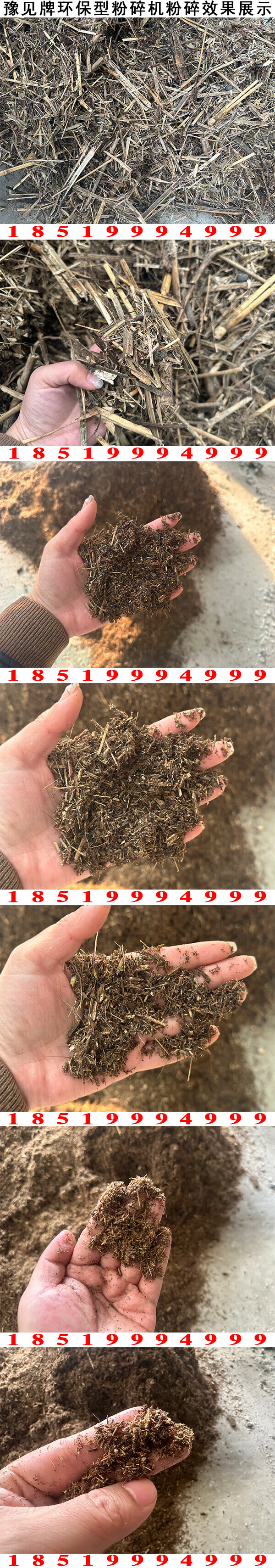 生蘆菌用蘆葦粉碎機粉碎效果展示