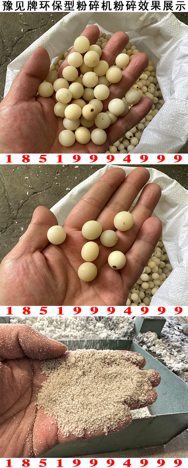 菩提子粉碎機粉碎效果展示
