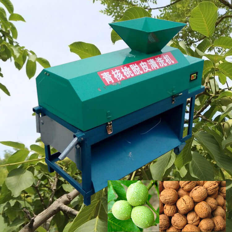 青核桃剝皮機圖片
