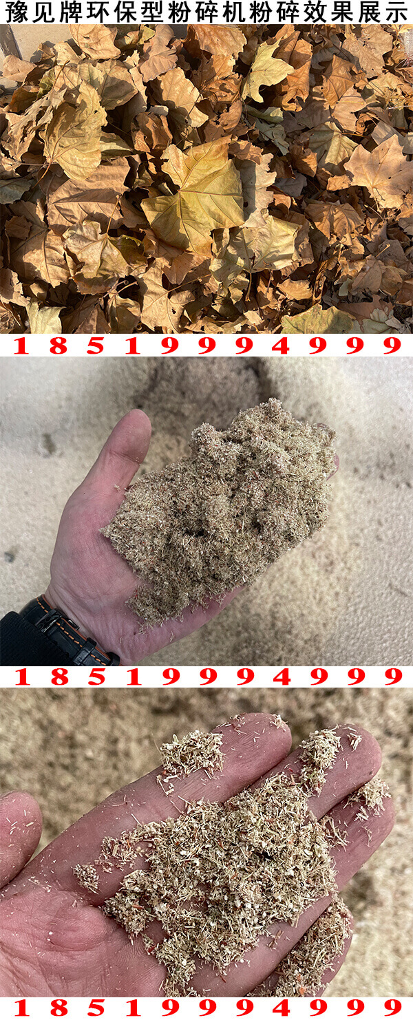 樹(shù)葉粉碎機圖片