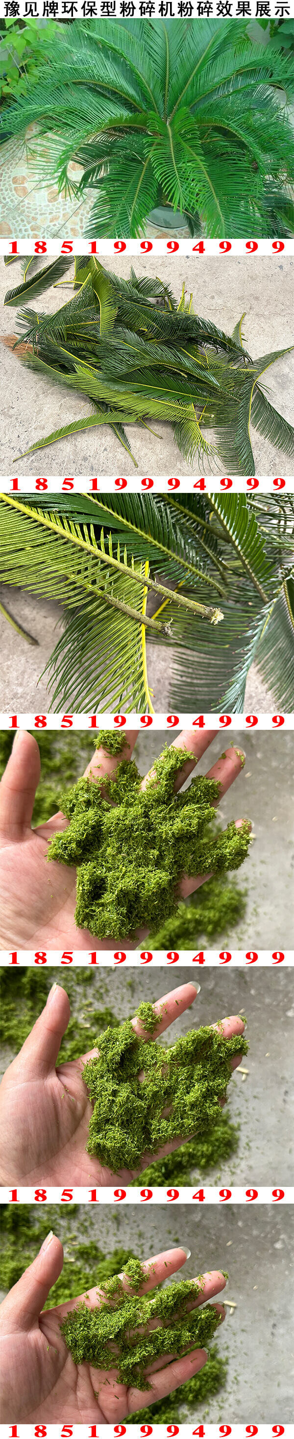 鐵樹(shù)粉碎機圖片