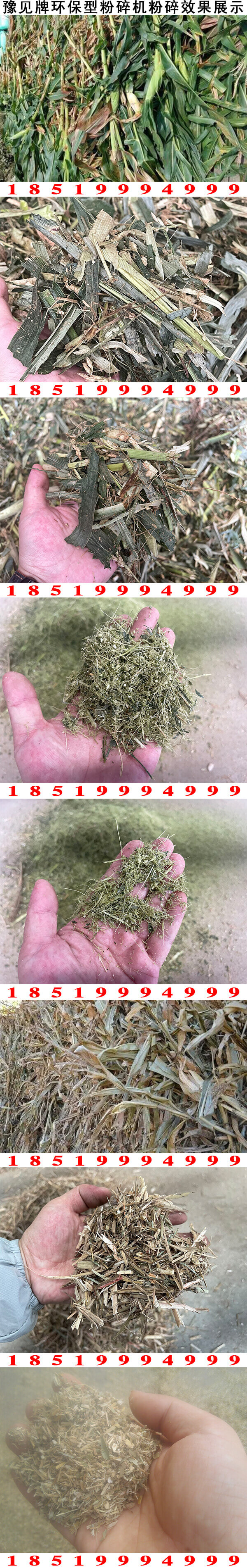 玉米秸稈粉碎機粉碎效果展示3