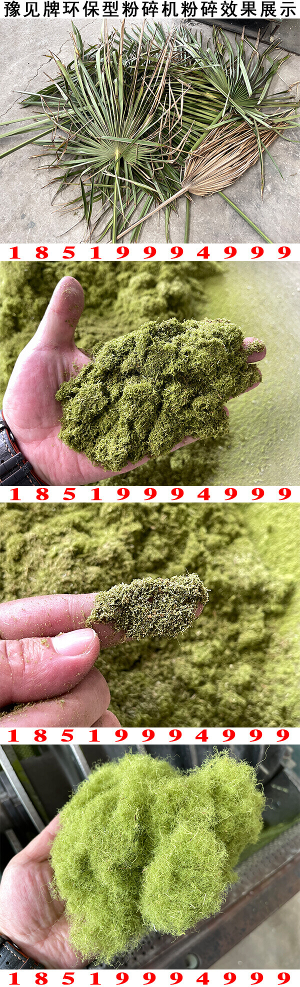 棕櫚葉粉碎機效果