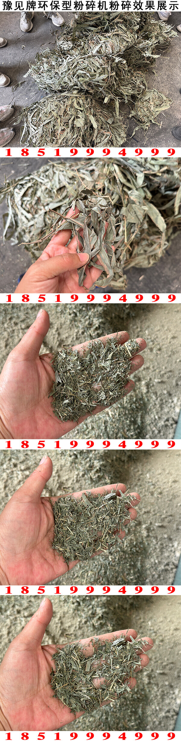 竹葉粉碎機粉碎效果展示